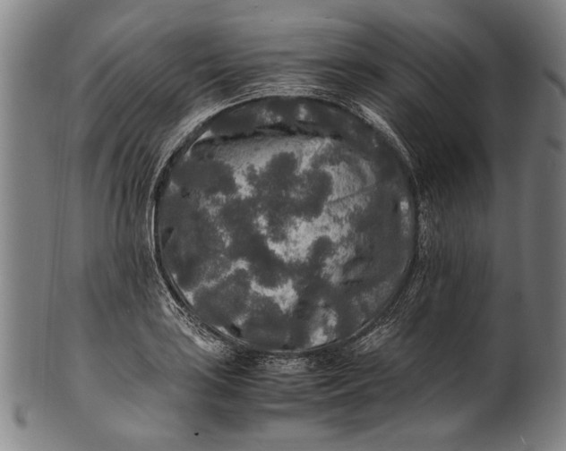 X0000100851035200807111211