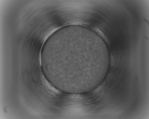 X0000100851036200807111211