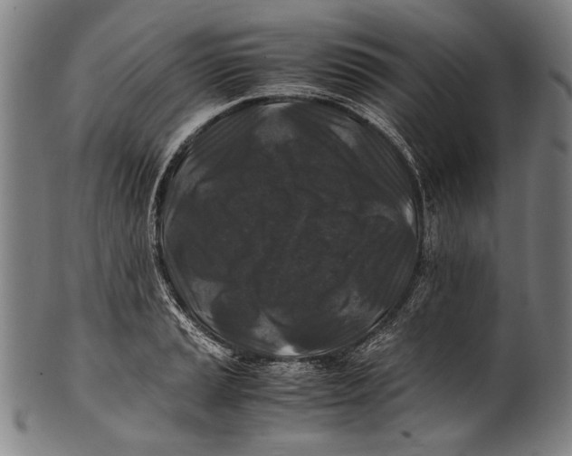 X0000100851037200807111211