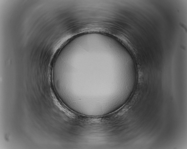 X0000100851038200807111211