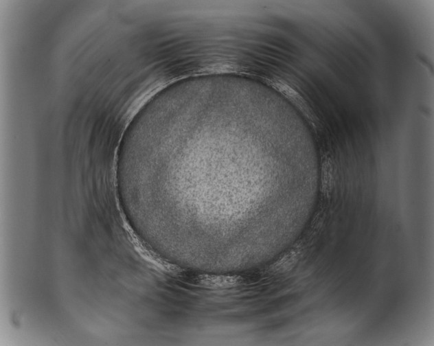 X0000100851039200807111211