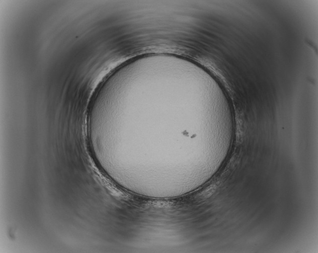 X0000100851040200807111211