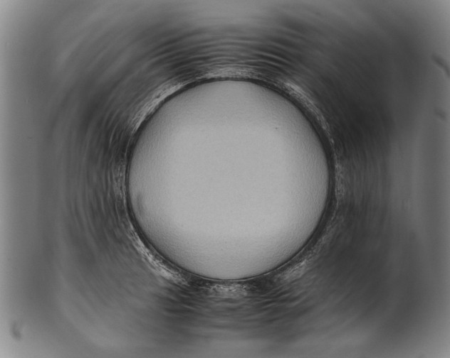 X0000100851041200807111211