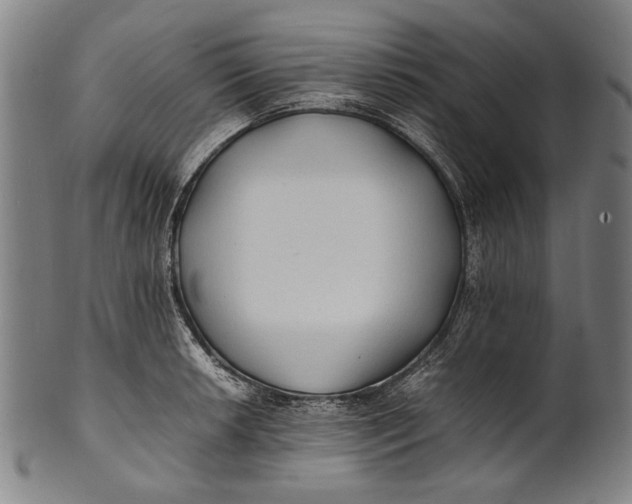 X0000100851042200807111211