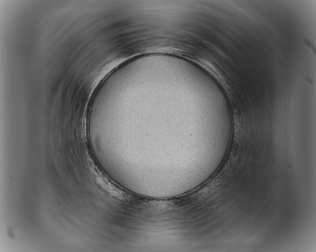 X0000100851044200807111211