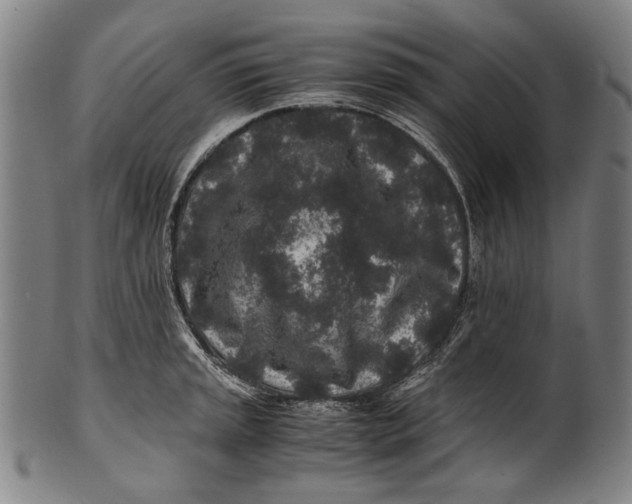 X0000100851045200807111211