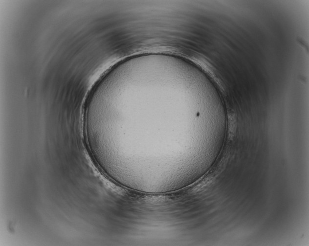 X0000100851046200807111211