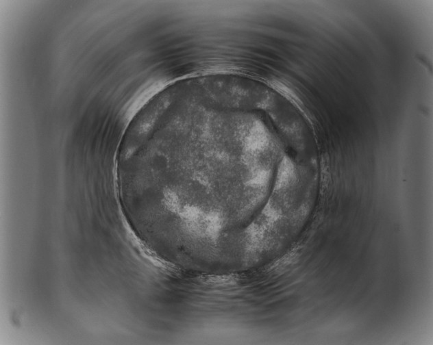 X0000100851047200807111211