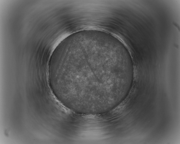 X0000100851048200807111211