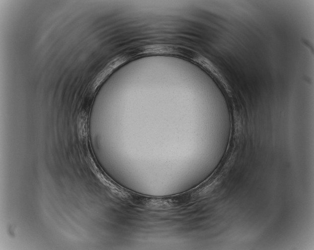 X0000100851049200807111211