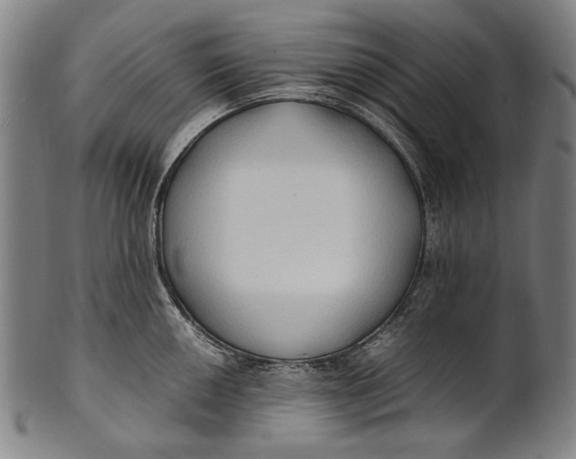 X0000100851050200807111211