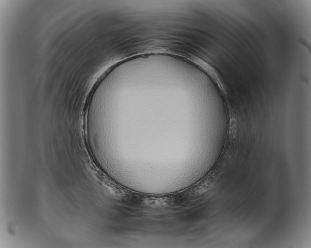 X0000100851051200807111211