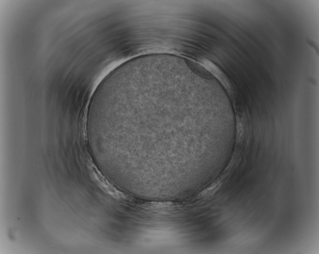 X0000100851052200807111211