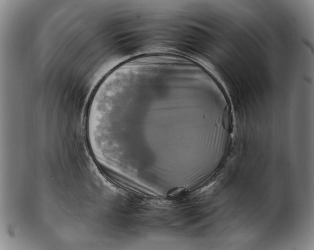 X0000100851053200807111211