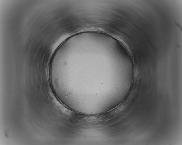 X0000100851054200807111211