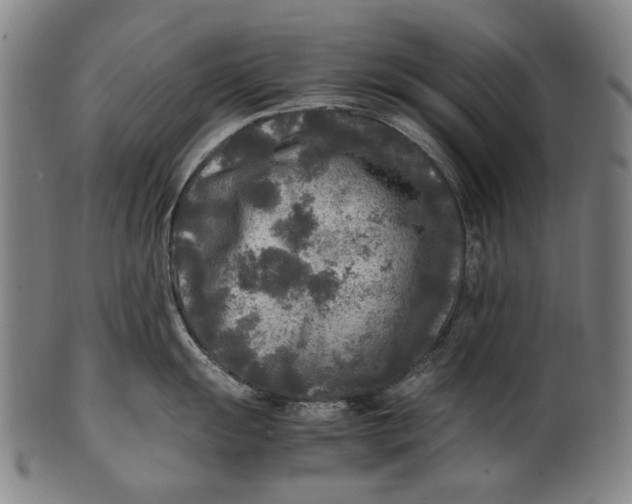 X0000100851055200807111211