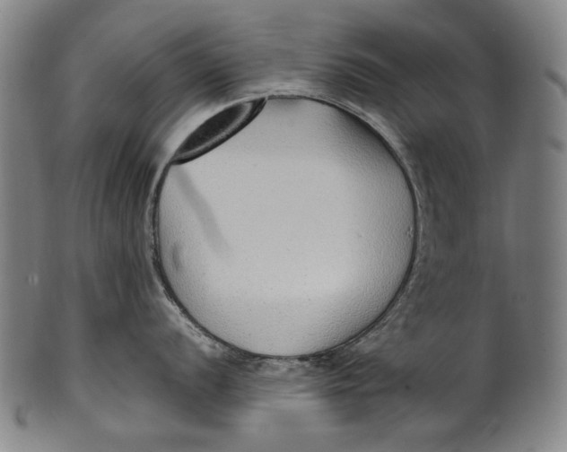 X0000100851056200807111211