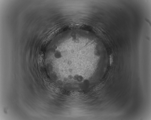 X0000100851059200807111210