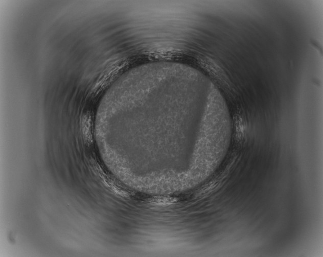 X0000100851060200807111210