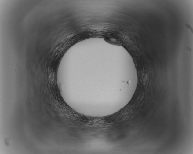 X0000100851061200807111210