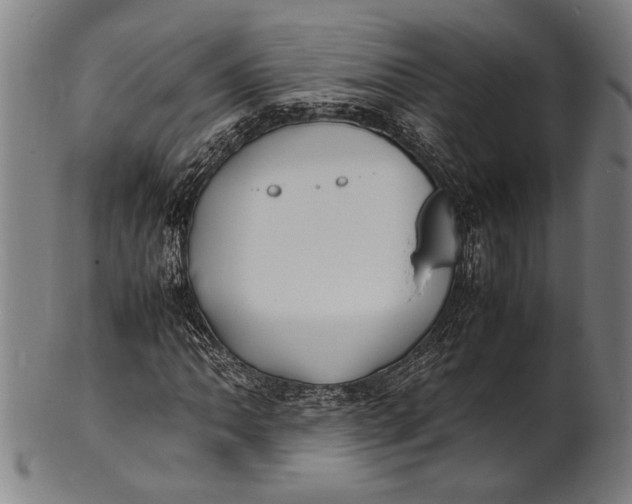 X0000100851062200807111210