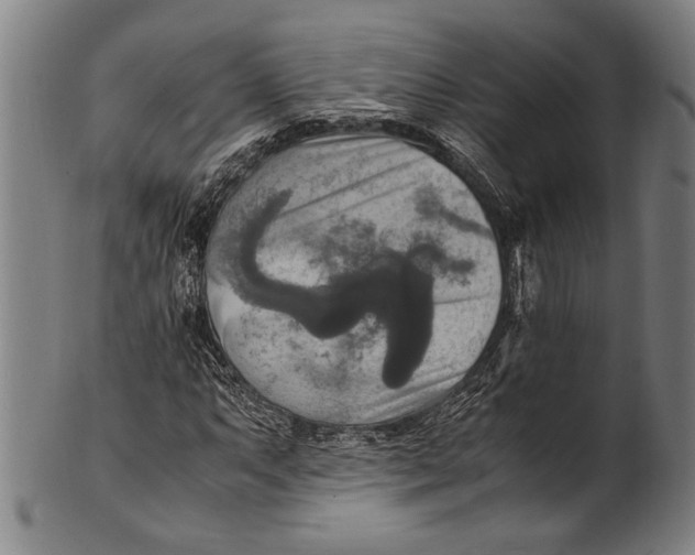 X0000100851063200807111210