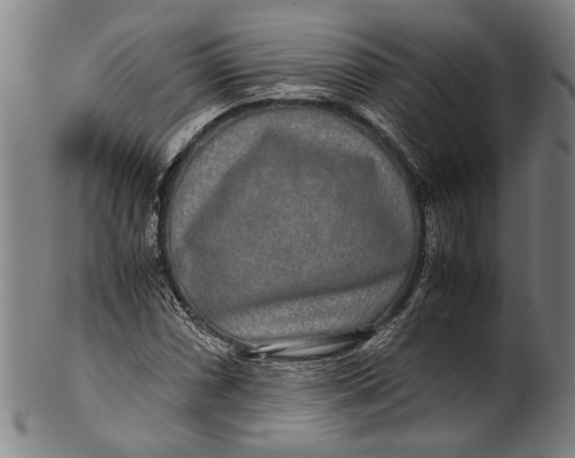 X0000100851066200807111210