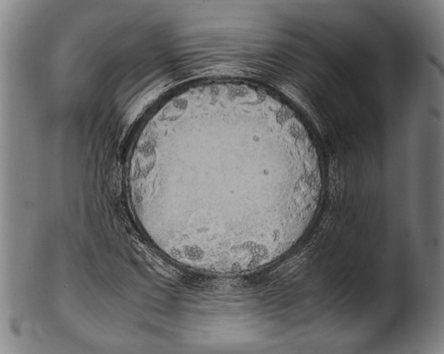 X0000100851067200807111210