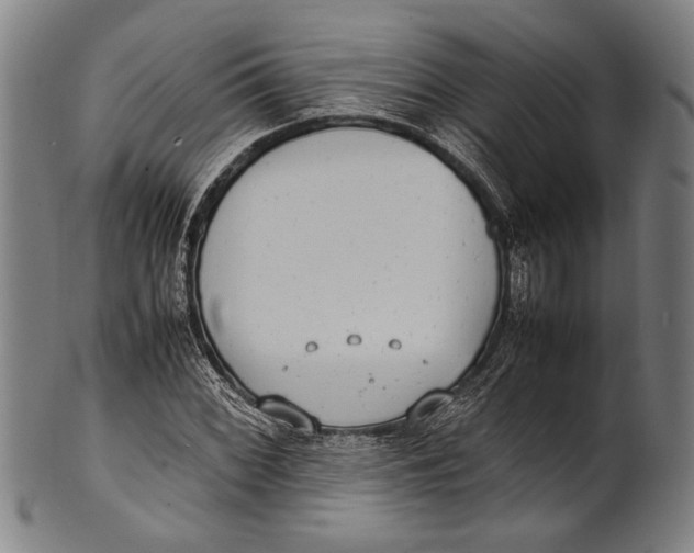 X0000100851068200807111210