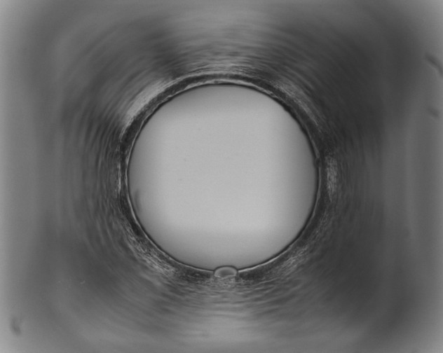 X0000100851069200807111210