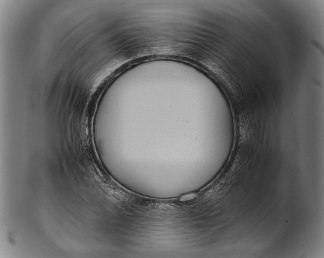 X0000100851070200807111210