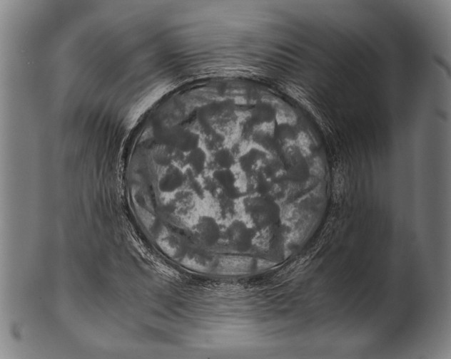 X0000100851071200807111210