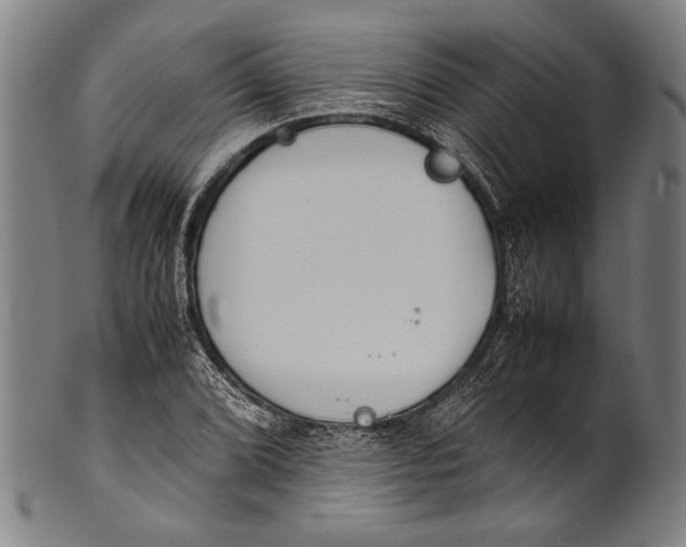 X0000100851072200807111210