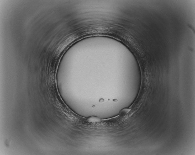 X0000100851073200807111210