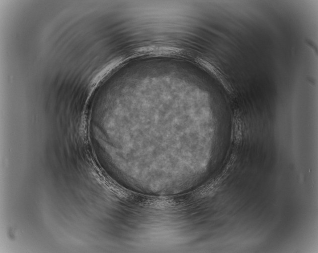 X0000100851074200807111210