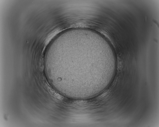 X0000100851075200807111210