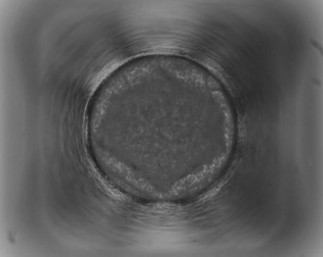 X0000100851077200807111210