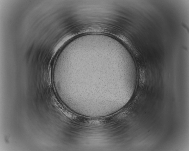 X0000100851078200807111210