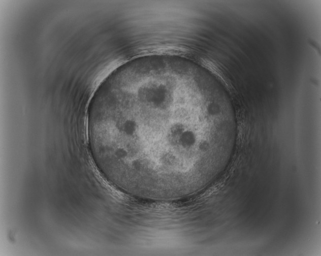 X0000100851079200807111210