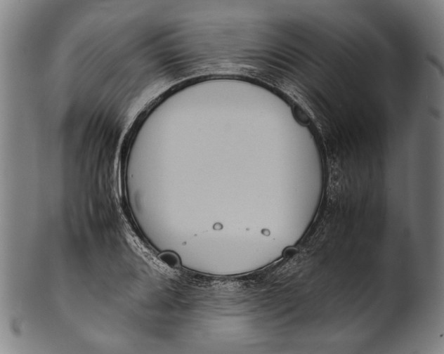 X0000100851080200807111210