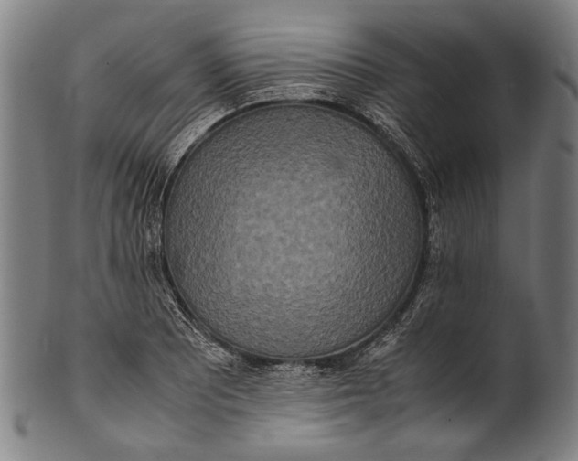 X0000100851081200807111210