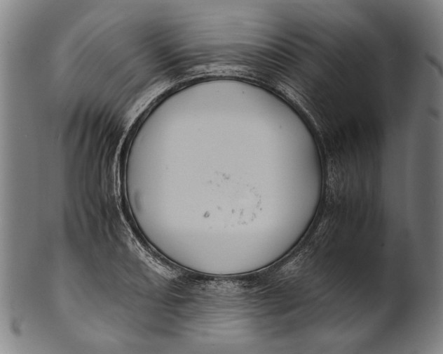 X0000100851082200807111210