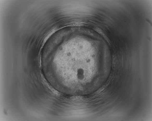 X0000100851083200807111210