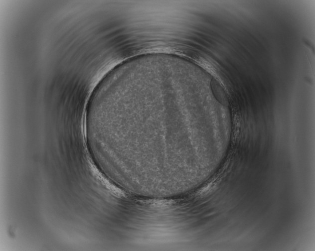 X0000100851084200807111210