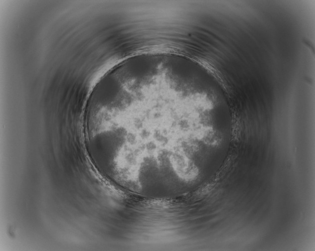 X0000100851086200807111210