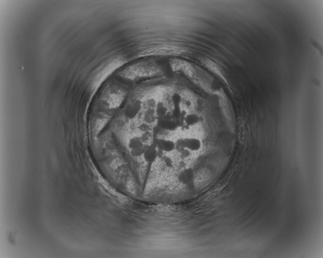 X0000100851087200807111210