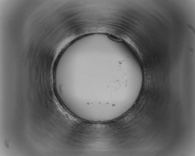 X0000100851088200807111210