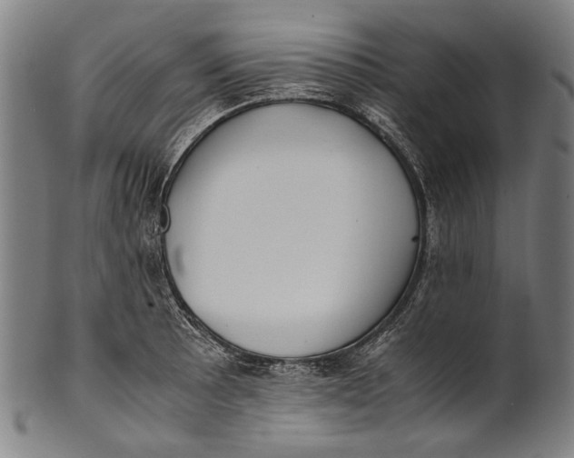 X0000100851089200807111210