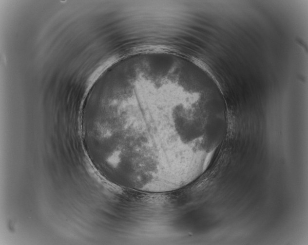 X0000100851090200807111210