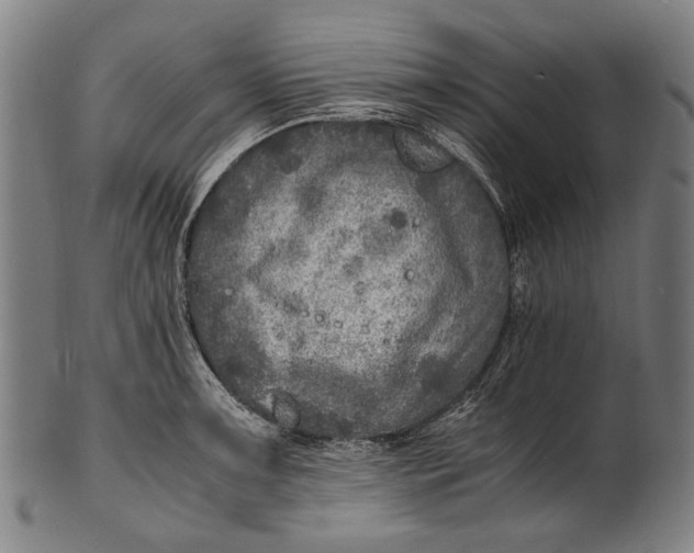 X0000100851091200807111210